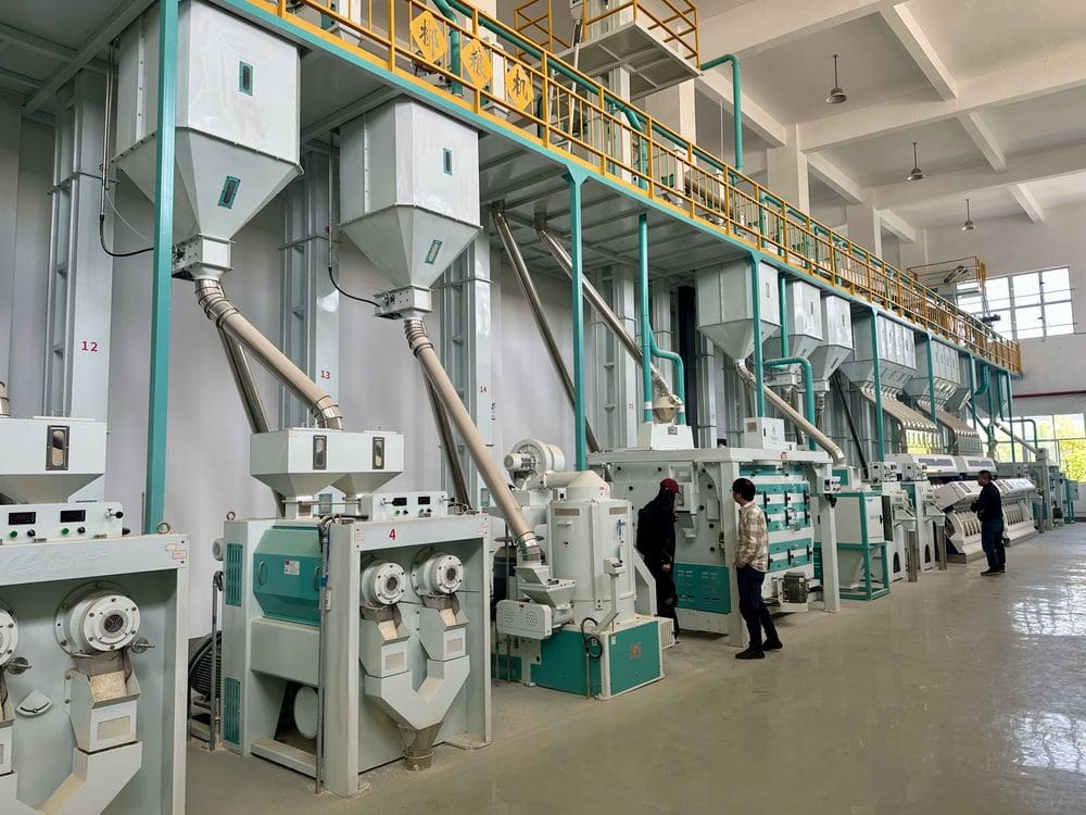 展鹰粮机知识科普:碾白工艺碾米工段设备现场